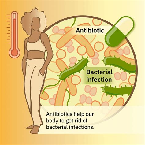 Tackling the collateral damage from antibiotics | EMBL