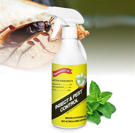 Amazon.com: ARFEN Home Insect Pest Control Spray 16oz – Kills & Repels Fleas, Ticks, Ants ...