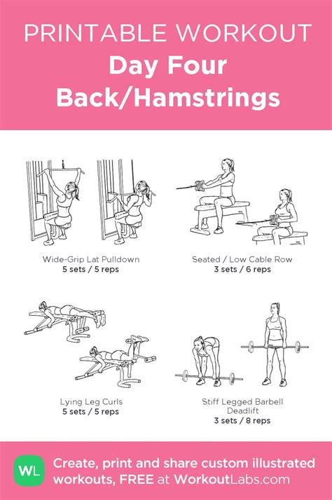 Beginners Gym Machine Workout 的图像结果