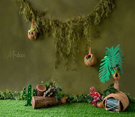 Into The Jungle World- 5 By 6- Fabric Printed Backdrop – Madras Prop ...