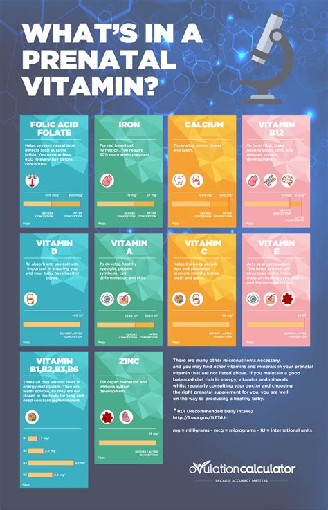 How Prenatal Vitamins Increase Your Chances of Pregnancy