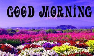 Image result for Good Morning Spring Bunnies