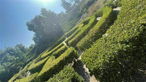 Mission Viejo's Oso Creek Trail - California | AllTrails