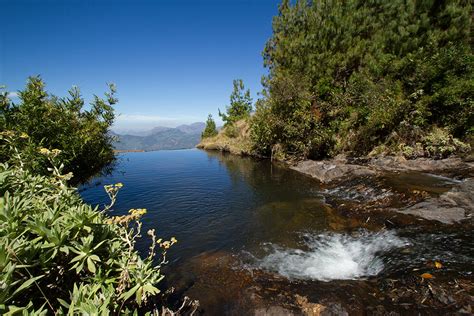 Streams at Meesapulimala | Munnar | Eco tourism programmes in Kerala ...
