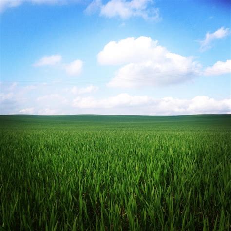 Spring Nature Scenery 的图像结果