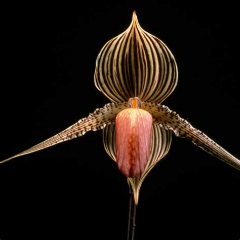 Digital Photography 的图像结果