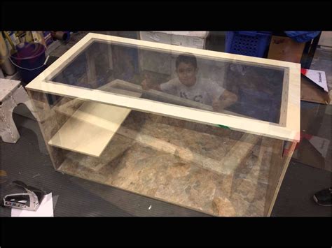 Bearded Dragon Vivarium Flooring – BradsHomeFurnishings