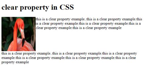 Using a Mini to Clear Property 的图像结果