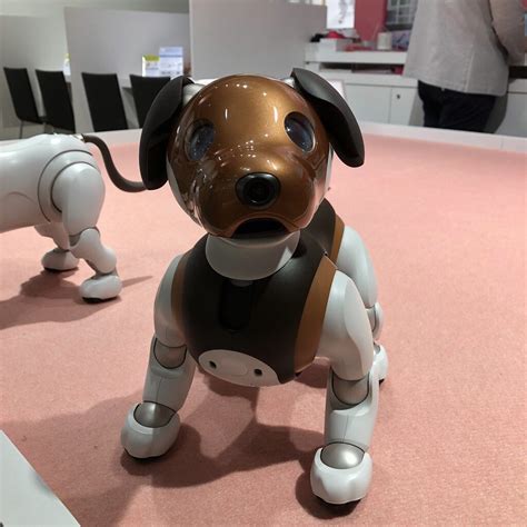 Image result for Most Amazing Robots