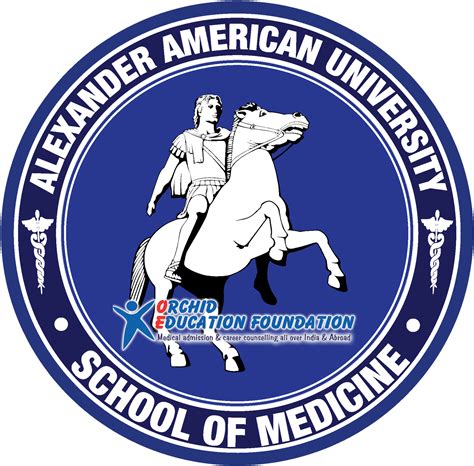 American University Logo