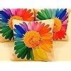 Buy SKIVE 3D Digital Canvas Jute Cushion Cover, Multicolour (Set of 5 ...