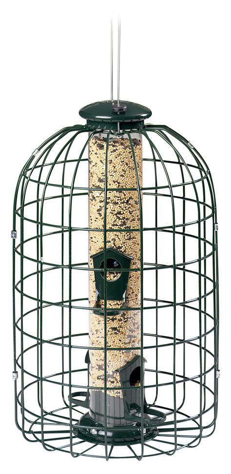 Audubon Squirrel-Proof Bird Feeder | Bass Pro Shops