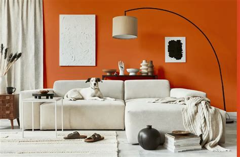 Sherwin Williams Knockout Orange SW 6885: 30 real home pictures