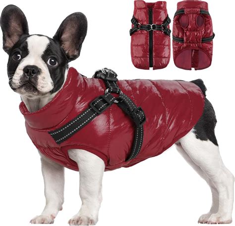 Amazon.com : AOFITEE Small Dog Coat with Harness Built in, Waterproof ...