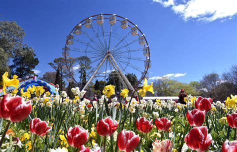 Canberra Travel Guide, Canberra Tourism, Places to Visit in Canberra ...