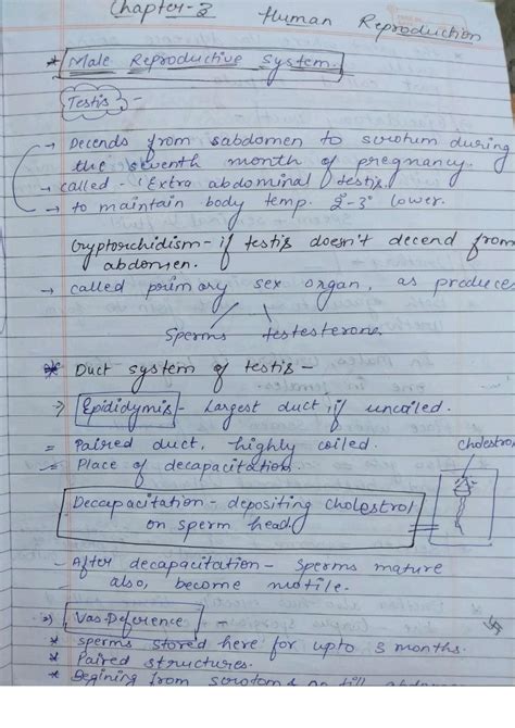 Image result for Bio Chap 20 Reproduction Class 12