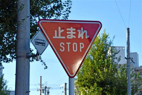 Image result for Java Text Blocks