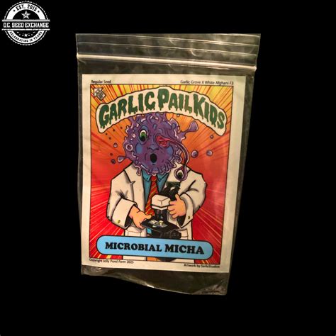 Microbial Micha (Garlic Grove X White Afghani F3) 10 Regular Seeds - DCSE