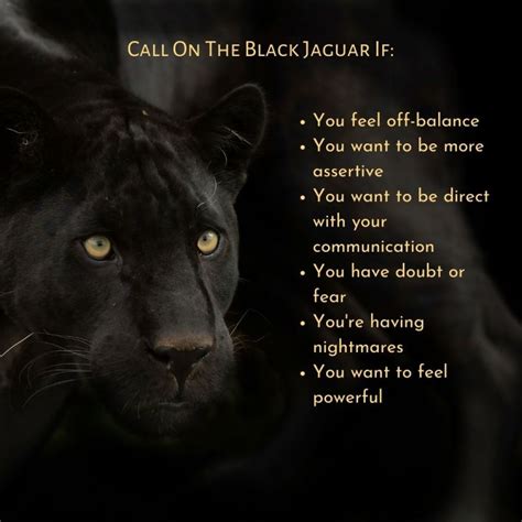 Animal Spirit Guides Black Jaguar Balance - Sarah Merron