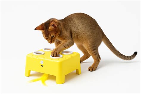 Smart Pet