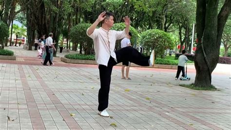 新编杨氏26式太极拳沉稳舒适，很适合中老年人和初学者练习