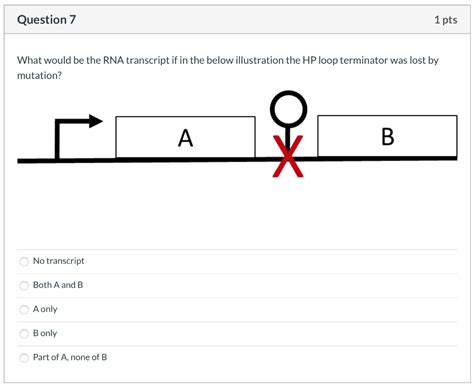 RNA Transcript Loop 的图像结果