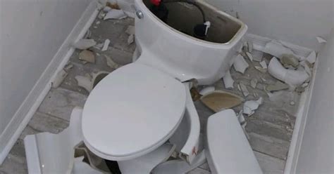 Image result for Exploding Toilets