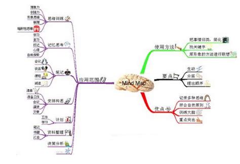 记忆原理-探索记忆与遗忘背后的机制 | 芒格学院