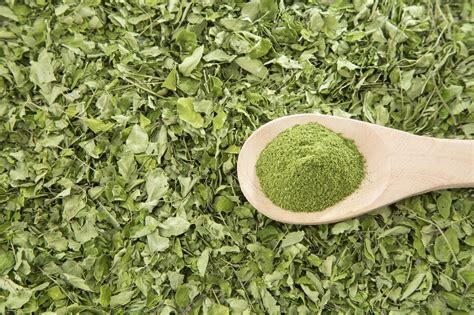 Cooking With Moringa: The Dos And Don'ts - SPICEography