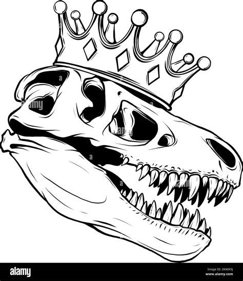 T Rex Head Drawing Process Drawing: T Rex – Anson Aguirre Firth