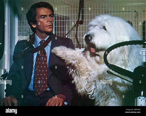 THE SHAGGY D.A., Dean Jones, 1976 Stock Photo - Alamy