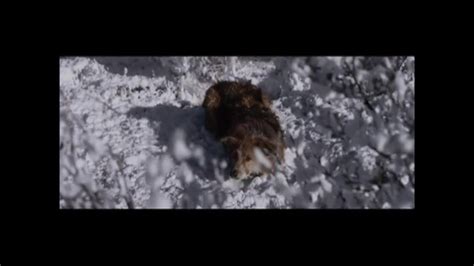 Darling Companion (2012) - Movie Cast, Reviews, Trailers & Streaming ...