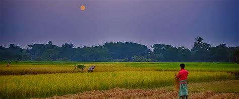 Public Sector Consulting | Consulting Services | Grant Thornton Bharat