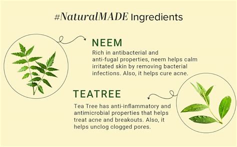 Khadi Natural Neem & Tea Tree Herbal Face Wash | Controls Acne and ...