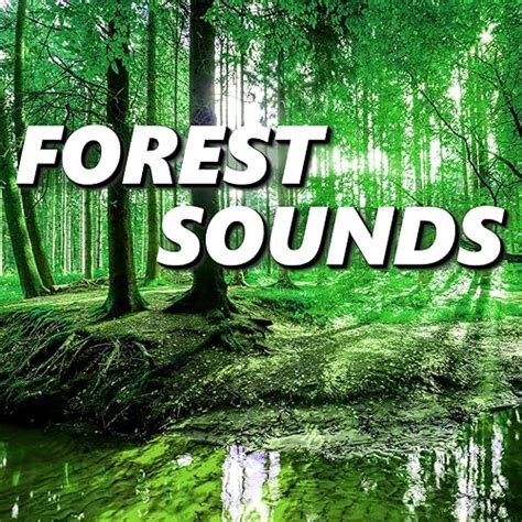 Image result for Alien Forest Sounds