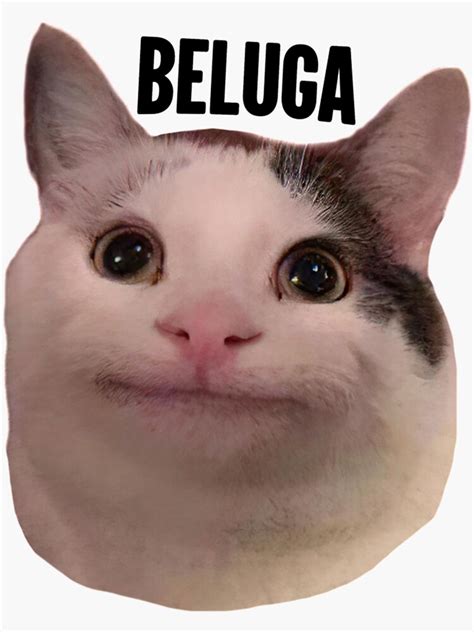 "beluga cat discord pfp " Sticker for Sale by Liamandlore | Redbubble