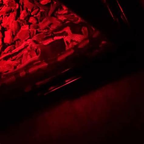 Image result for Hello Dysfunction