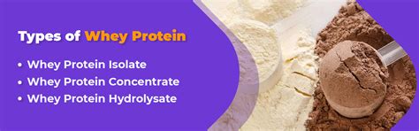 Types-of-Whey-Protein-blog-Image - Anytime Fitness