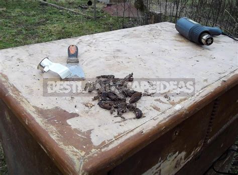 Spraying Chest of Drawers 的图像结果