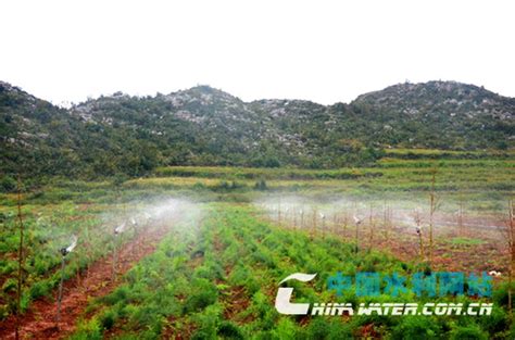 云南曲靖市沾益区：高效节水 服务特色农业的“水保姆” - 中国节水灌溉网