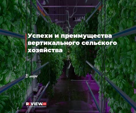 Успехи и преимущества вертикального сельского хозяйства - Review.uz