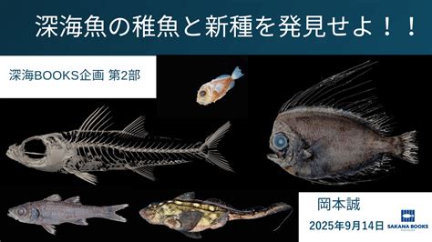 Image result for Array of Object Structure
