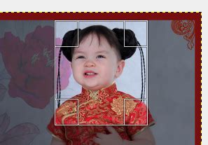 Image result for Activity Using GIMP