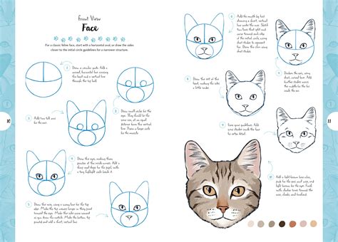 Image result for How to Draw a Cat Tutorial