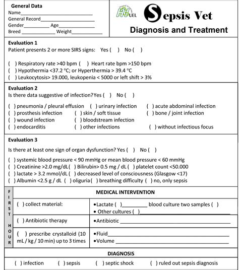 What Are The Signs Of Sepsis In A Dog