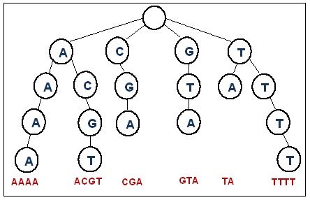 Trie Tree Example 的图像结果