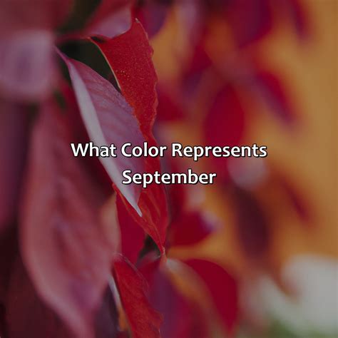 What Color Of Visible Light Has The Longest Wavelength - colorscombo.com