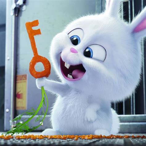 Snowball The Secret Life Of Pets Wallpapers - Wallpaper Cave