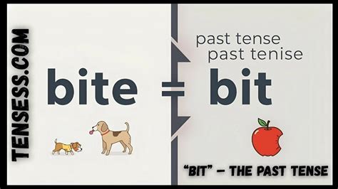 "Bit" - The Past Tense of Bite 2025: Definition, Usage, and 30 Examples