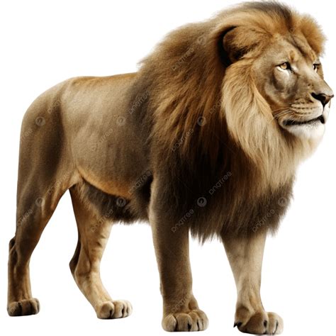 Roaring King Of The Jungle Lion Artwork, King Of The Jungle, Lion ...
